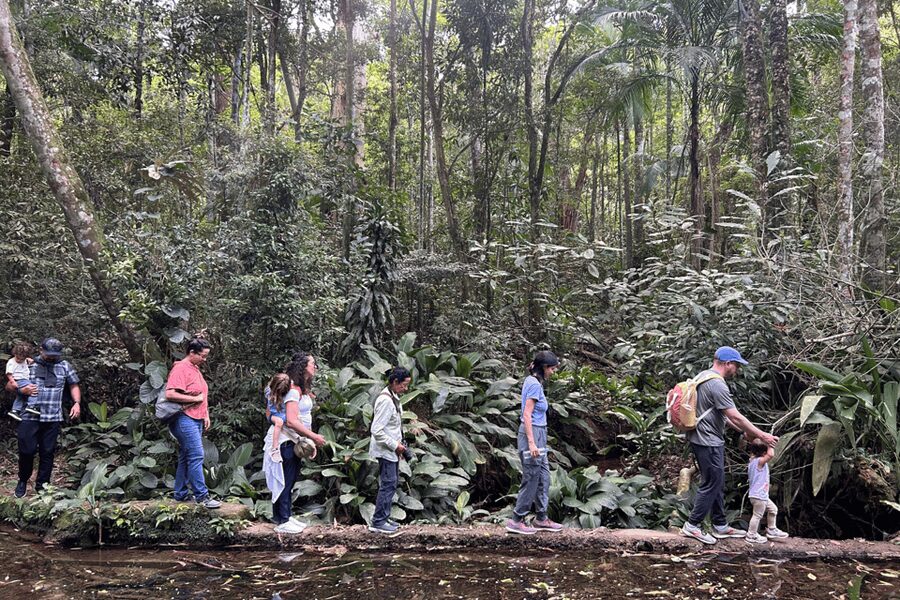 Rio de Janeiro: Tijuca National Park Tour - Cachoeira das Almas and the chance to cool off