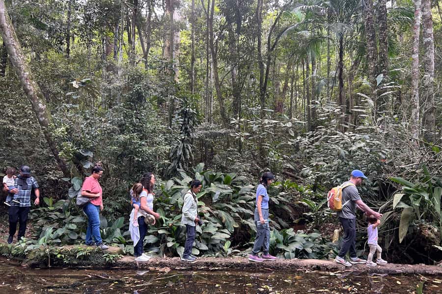 Rio de Janeiro: Tijuca National Park Tour - The early pickup from Rio hotels