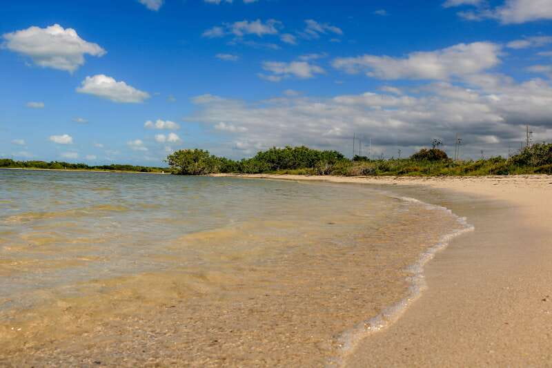 Rio Lagartos: Boat Tour through the Nature Reserve - What the $87 price really covers