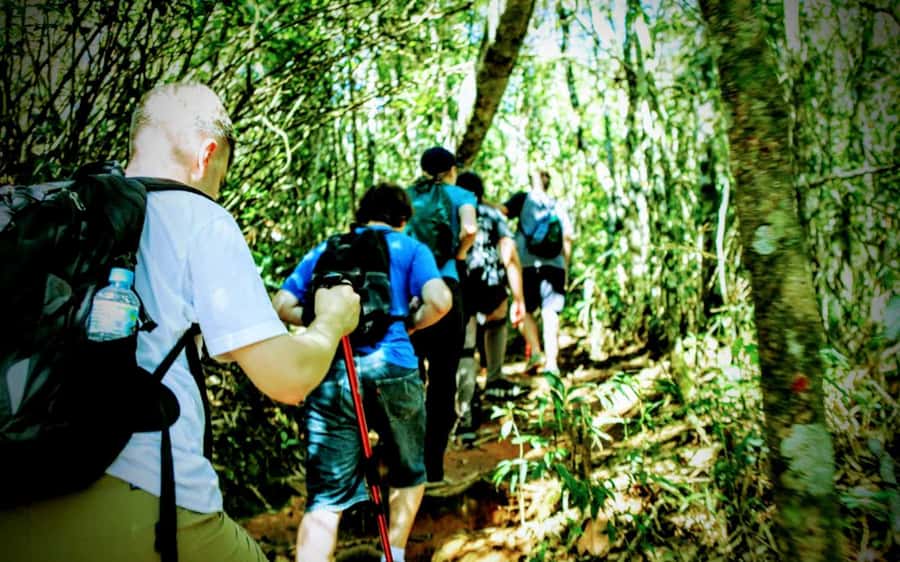 Rio: Tijuca National Park Small-Group Hike to Pedra Bonita - The 50-minute climb to Pedra Bonita