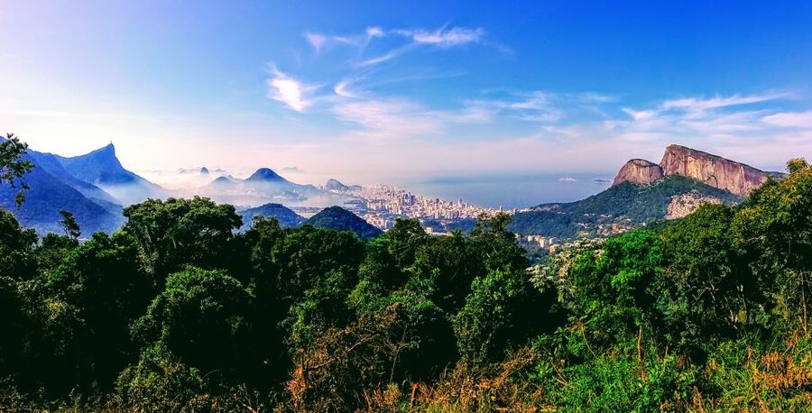 Rio: Tijuca National Park Small-Group Hike to Pedra Bonita - What the $63 price includes