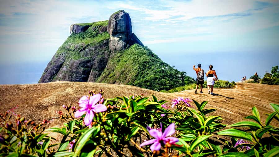 Rio: Tijuca National Park Small-Group Hike to Pedra Bonita - Who should book this hike
