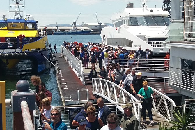 Robben Island Museum Plus Table Mountain National Park & Bo-kaap All Tickets F/d - The guides and the feel of the day