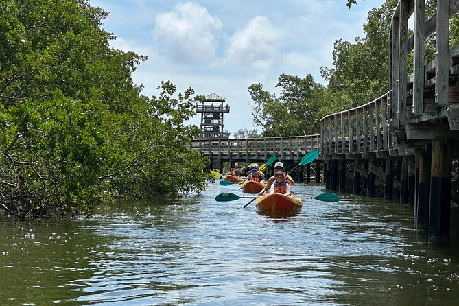 Robinson Preserve Mangrove Tour - Key points to know before you paddle