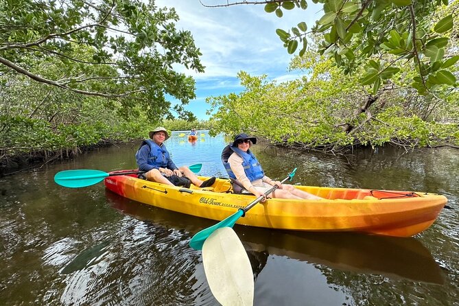 Robinson Preserve Mangrove Tour - Starting among Robinson Preserve’s mangroves