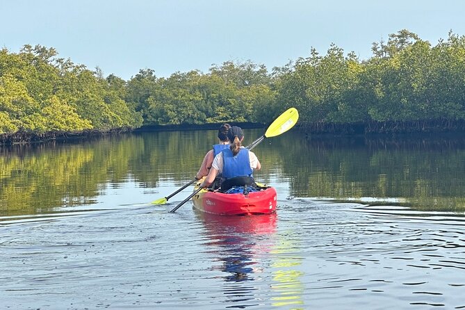 Robinson Preserve Mangrove Tour - What the $55 price includes