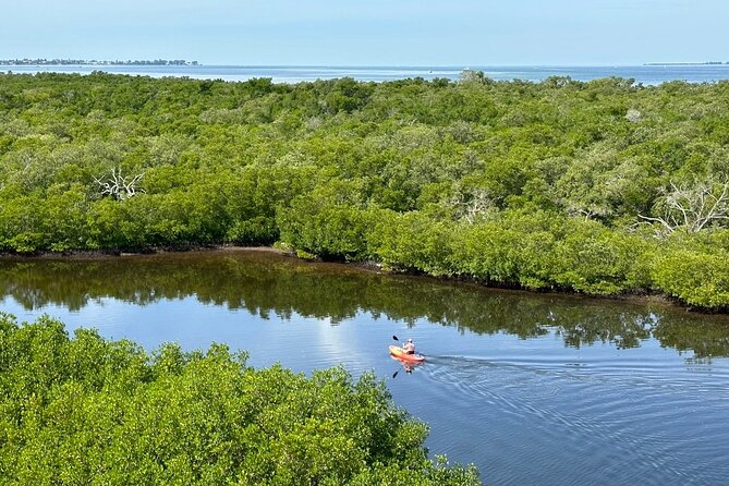 Robinson Preserve Mangrove Tour - What two hours on the water feels like