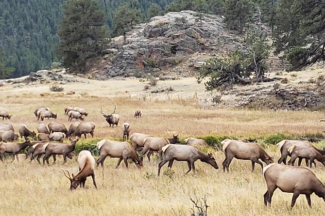 Rocky Mountain National Park and Estes Park Tour from Denver Winter and Spring - Bear Lake or Sprague Lake in cold weather