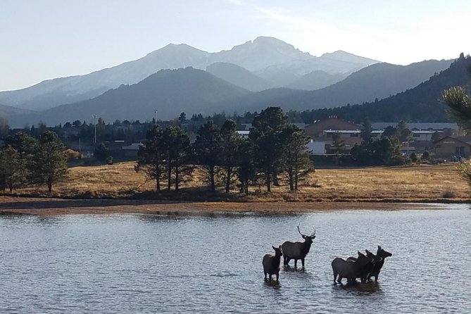 Rocky Mountain National Park and Estes Park Tour from Denver Winter and Spring - Many Parks Curve and the high mountain views