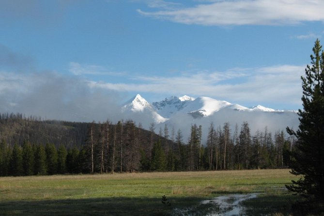 Rocky Mountain National Park Guided Tours from Grand Lake - Why the old roads tell the best story