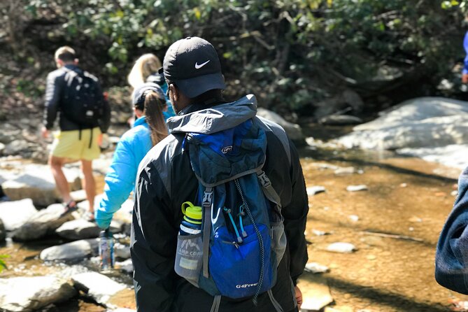 Rocky Mountain National Park Half Day Hike - Bear Lake, Nymph Lake, and Dream Lake