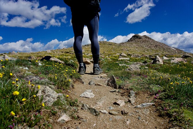 Rocky Mountain National Park Half Day Hike - Guides who add more than directions