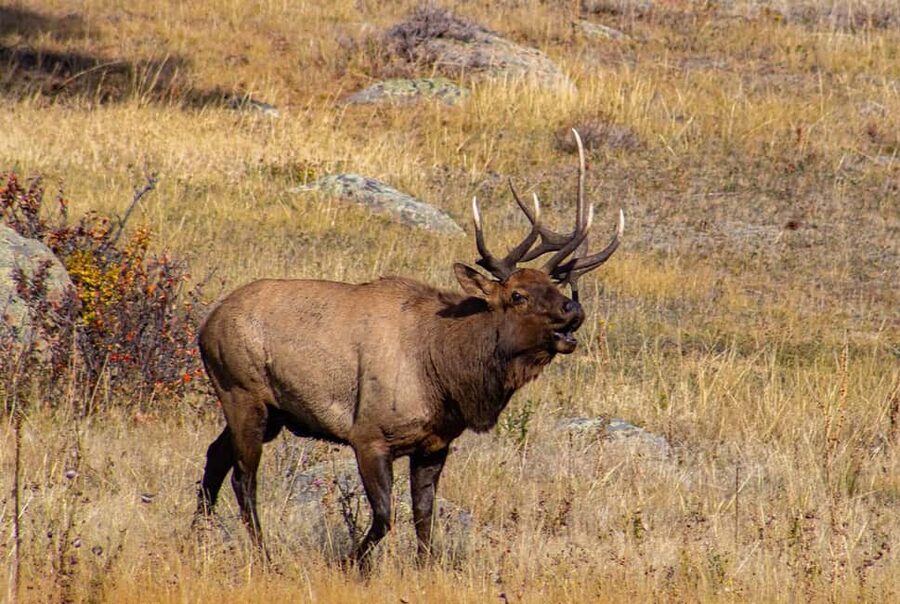 Rocky Mountain National Park Hike - Why this Rocky Mountain hike is worth a full day