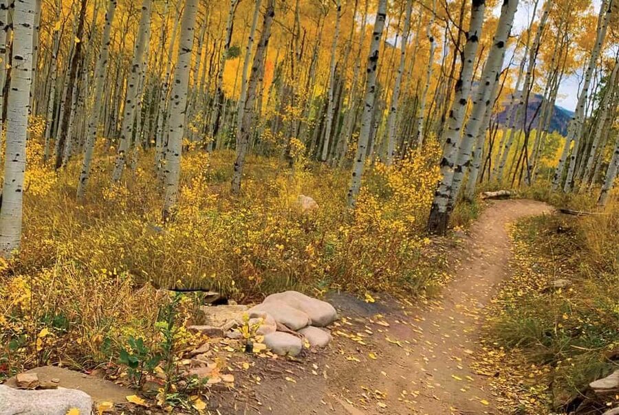 Rocky Mountain National Park Hike - Booking advice for a smoother day
