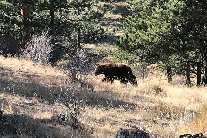 Rocky Mountain National Park in Summer Tour from Denver - Three overlooks with three different views