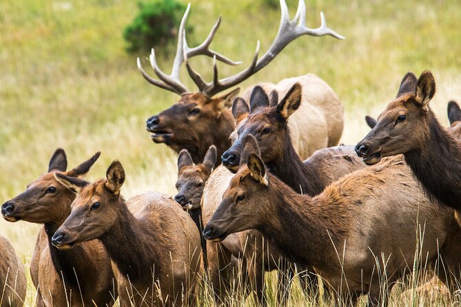 Rocky Mountain National Park - Private Hiking Tour - Pickup times change with your starting point