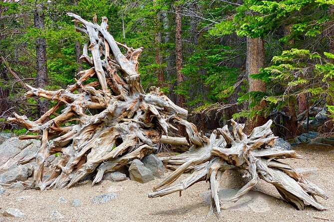 Rocky Mountain National Park Tour from Denver - Guides and the Small Group Difference