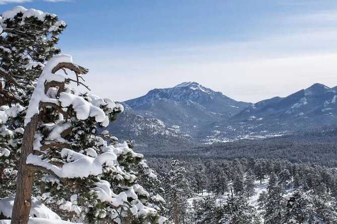 Rocky Mountain National Park Tour - Hidden Valley Sledding Tour - What happens at the former ski area