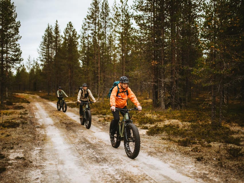 Rovaniemi: Arctic Wilderness & Forests Guided E-Bike Tour - Key points to know before you book