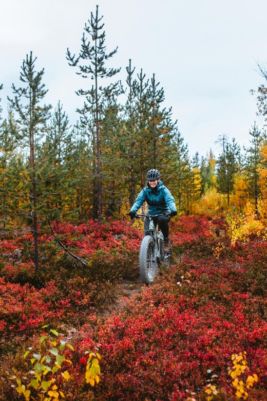 Rovaniemi: Arctic Wilderness & Forests Guided E-Bike Tour - Riding into the forests around Apukka