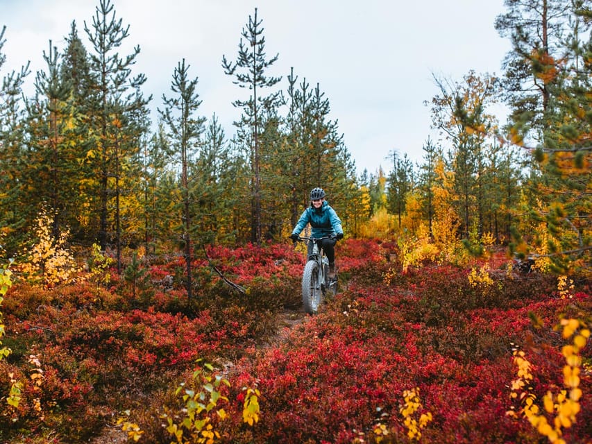 Rovaniemi: Arctic Wilderness & Forests Guided E-Bike Tour - A real workout, with room to adjust