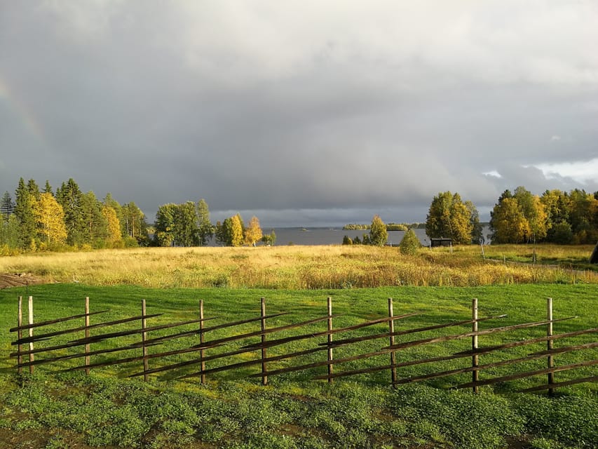 Rovaniemi: Arctic Wilderness & Forests Guided E-Bike Tour - The midway break and hot berry juice