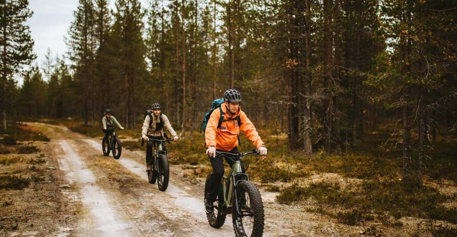 Rovaniemi: Arctic Wilderness & Forests Guided E-Bike Tour - What the guide adds