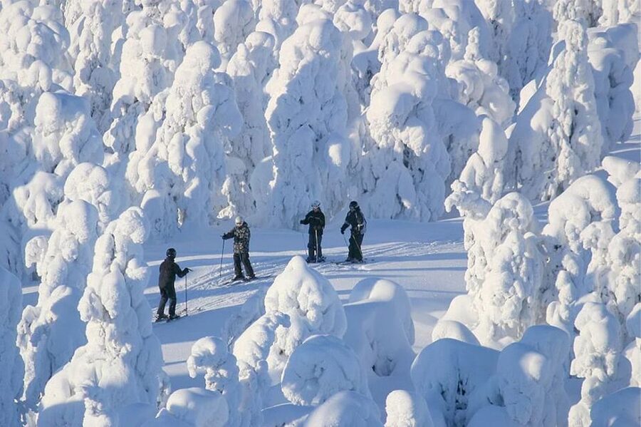 Rovaniemi: Cross Country Wilderness Ski Adventure - Gliding through the Ounasvaara winter forest