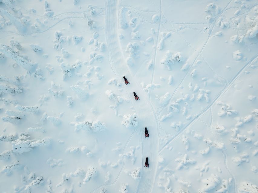Rovaniemi: Full-Day Snowmobile Safari into the Wilderness - Following Forest Tracks Beyond Rovaniemi