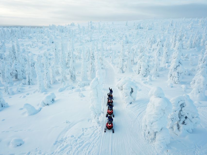 Rovaniemi: Full-Day Snowmobile Safari into the Wilderness - A Campfire Lunch in the Backcountry