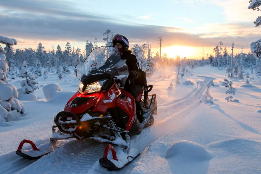 Rovaniemi: Full-Day Snowmobile Safari into the Wilderness - Cost, Group Size, and Overall Value