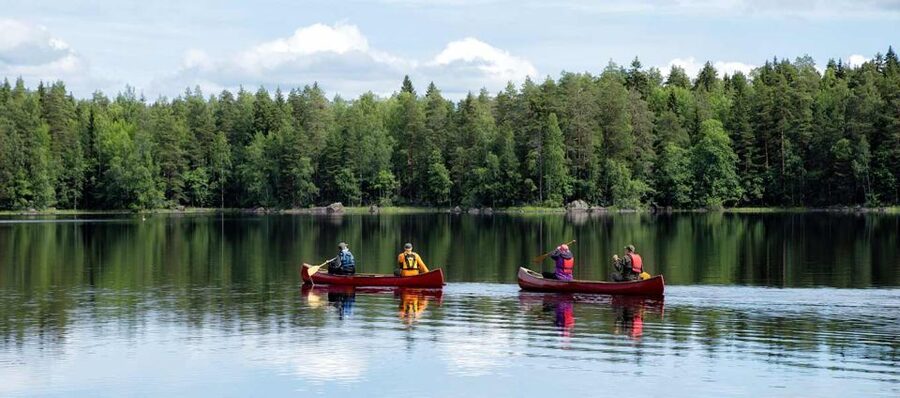 Rovaniemi: Guided Wilderness Kayaking Adventure - Key points at a glance