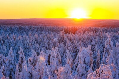 Guided Wilderness Snowmobile Ride
