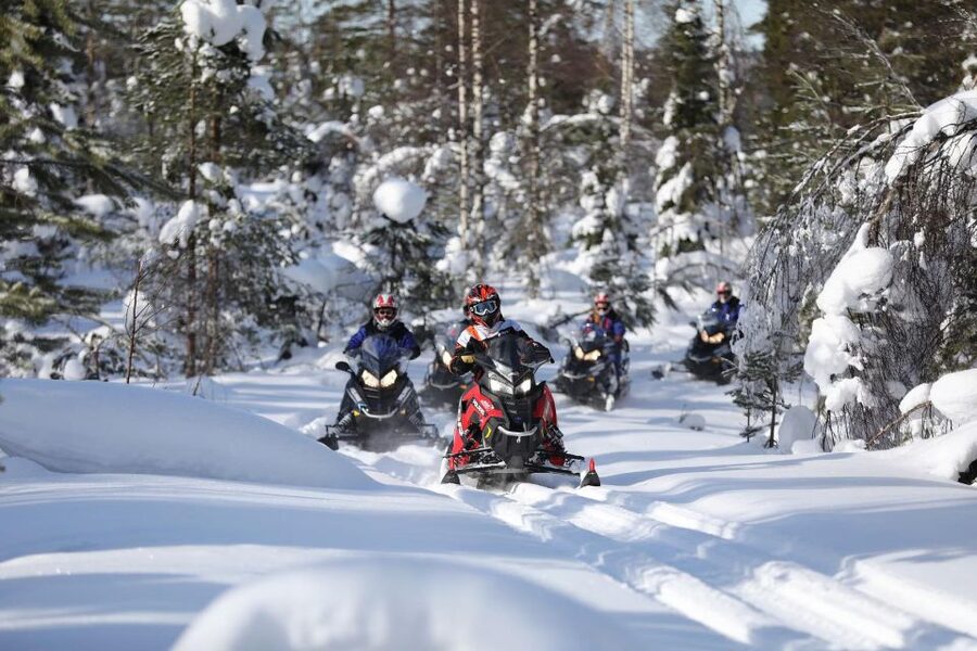 Rovaniemi: Guided Wilderness Snowmobile Ride - Who should book this ride?