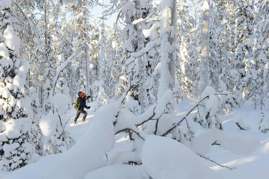 Rovaniemi: Korouoma Wilderness Café’s Icefall Tour and Lunch - Why Korouoma is worth the long ride from Rovaniemi