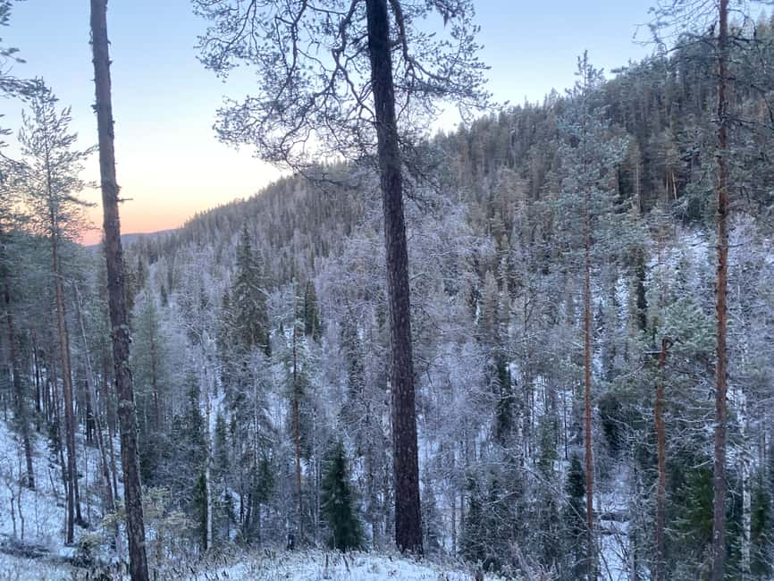 Rovaniemi: Korouoma Wilderness Café’s Icefall Tour and Lunch - The 105-minute journey from Rovaniemi