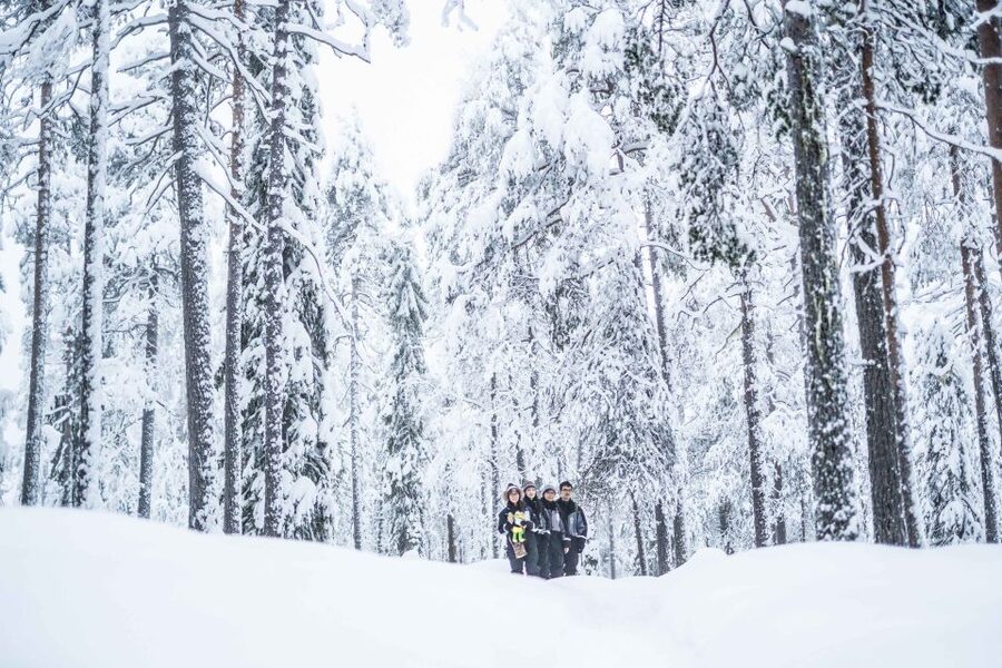 Rovaniemi: Nordic Forest Wilderness Adventure - Should You Book the Nordic Forest Wilderness Adventure?