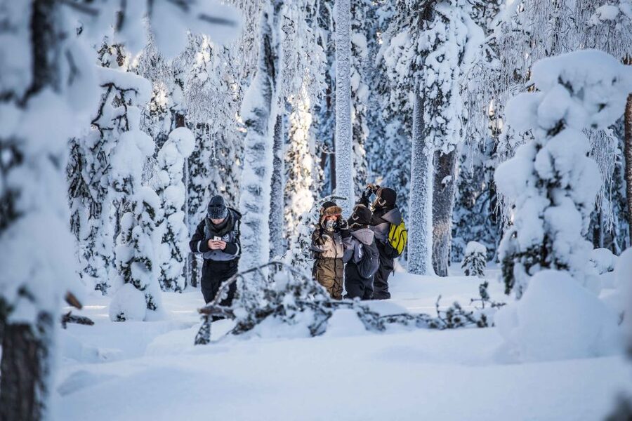 Rovaniemi: Nordic Forest Wilderness Adventure - A Photographer-Guide Changes the Way You See the Walk
