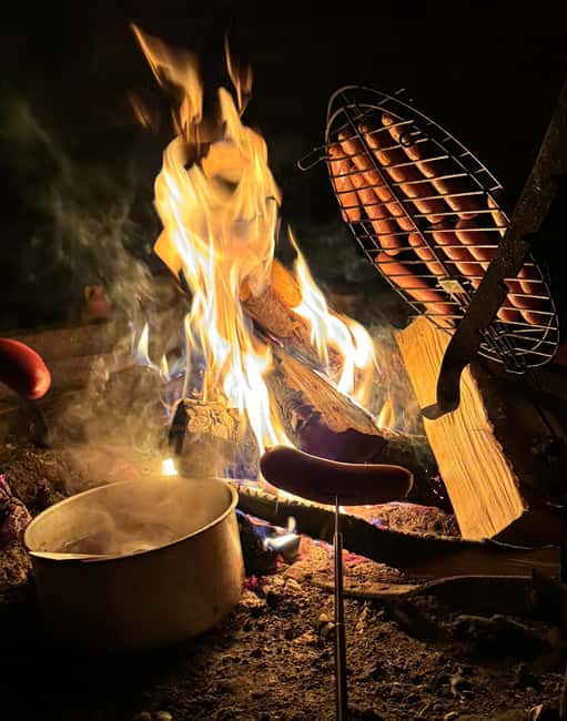 Rovaniemi:Northern Lights Hunt in Lapland Wilderness - Key points to know before you go