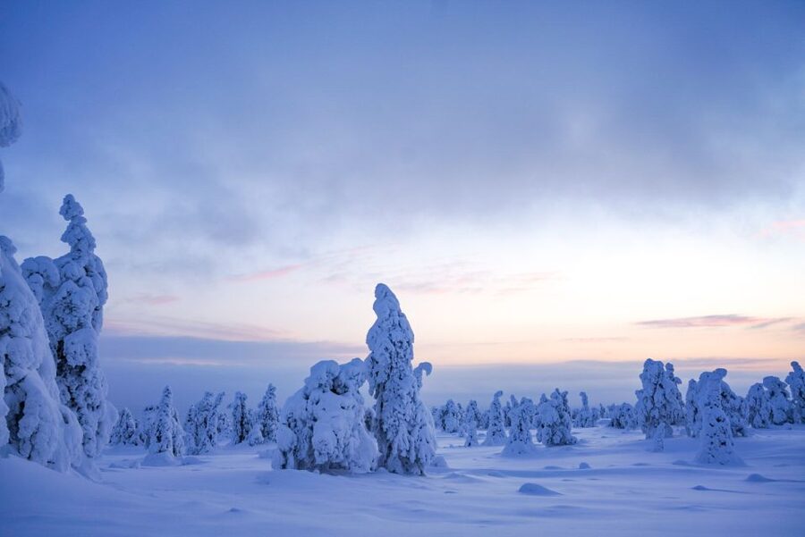 Rovaniemi: Riisitunturi National Park Day Trip with Lunch - Why Riisitunturi is worth the long ride