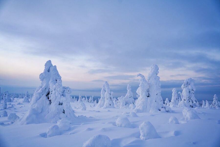 Rovaniemi: Riisitunturi National Park Day Trip with Lunch - The two-hour journey from Rovaniemi