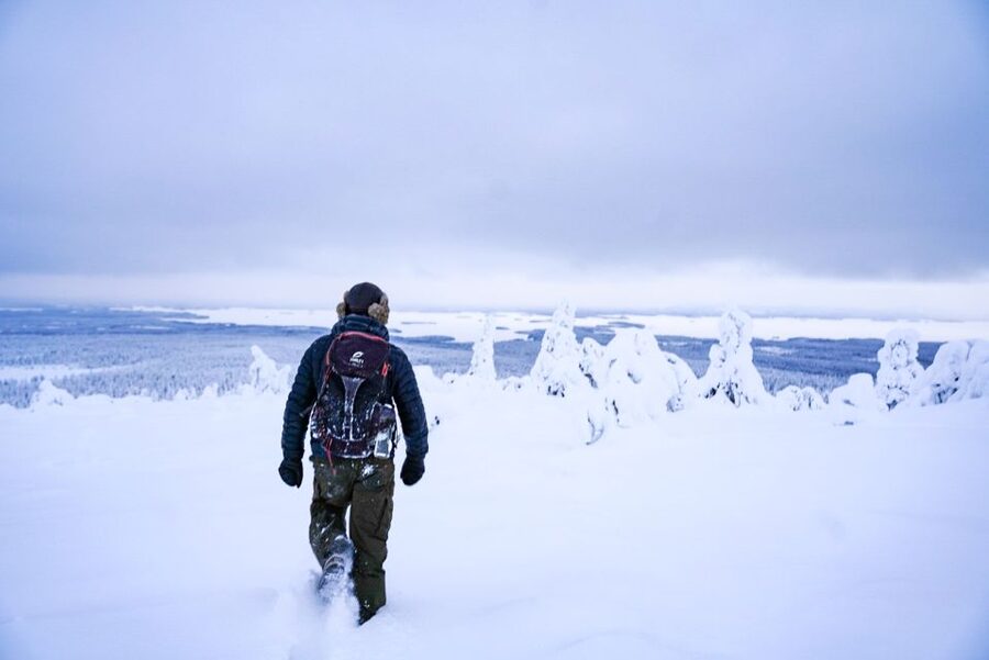 Rovaniemi: Riisitunturi National Park Day Trip with Lunch - What the guide adds to the walk