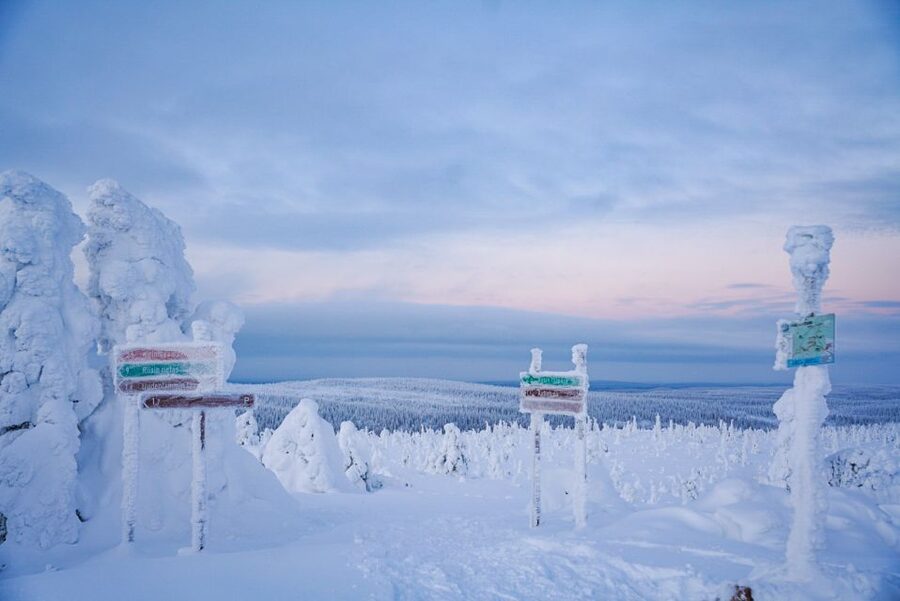 Rovaniemi: Riisitunturi National Park Day Trip with Lunch - The Finnish campfire stop