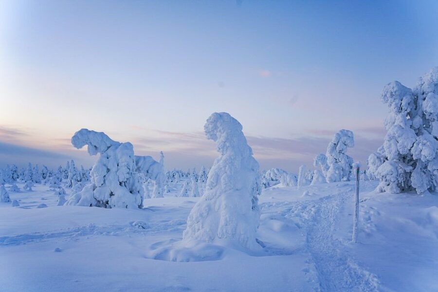 Rovaniemi: Riisitunturi National Park Day Trip with Lunch - Clothing, boots, and winter effort