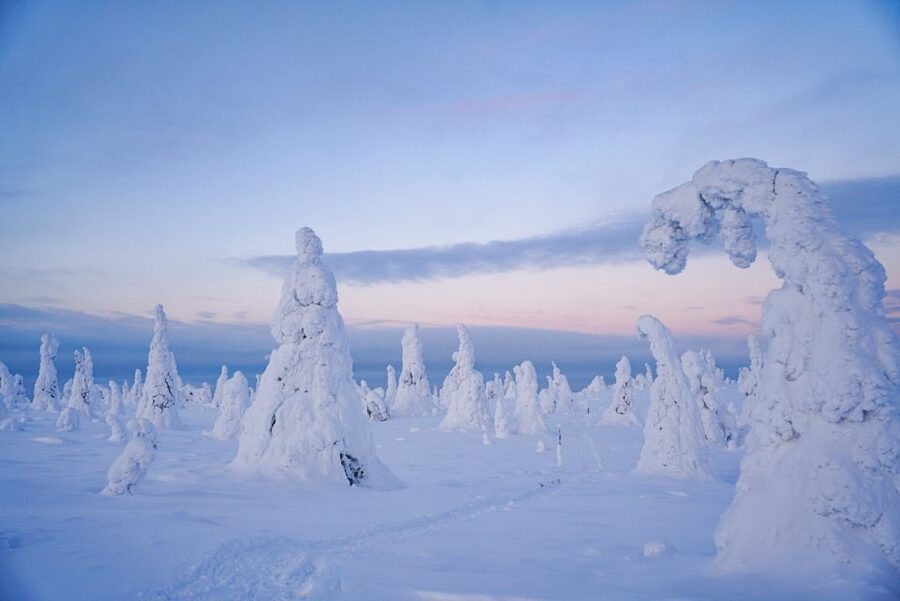 Rovaniemi: Riisitunturi National Park Day Trip with Lunch - Practical details before you book
