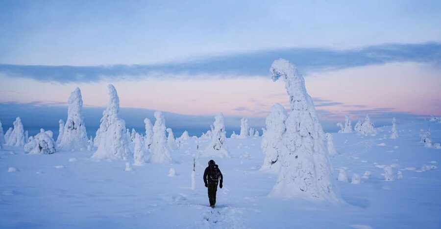 Rovaniemi: Riisitunturi National Park Day Trip with Lunch - A 4-kilometre walk through snowy forest