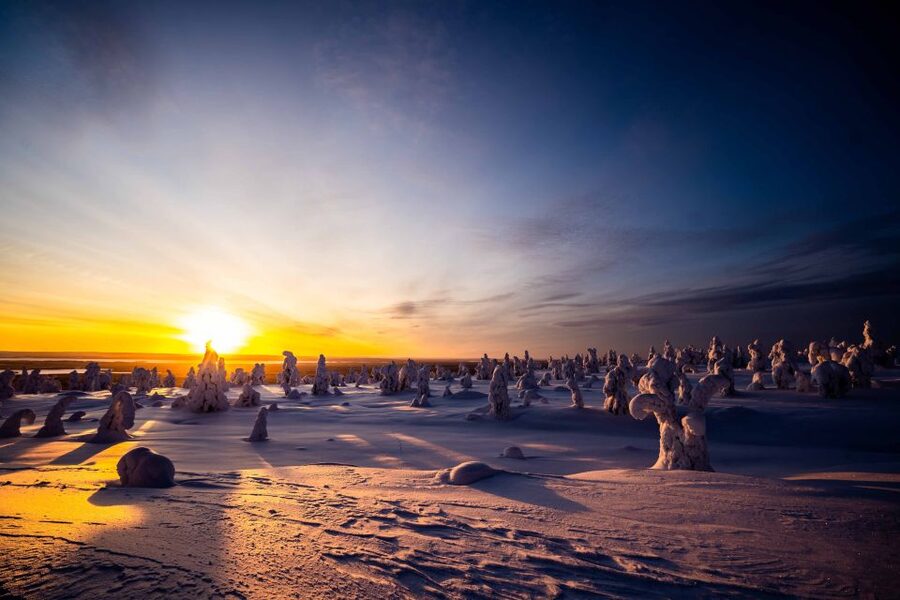 Rovaniemi: Riisitunturi National Park with Pro Photos & BBQ - Practical details before you go