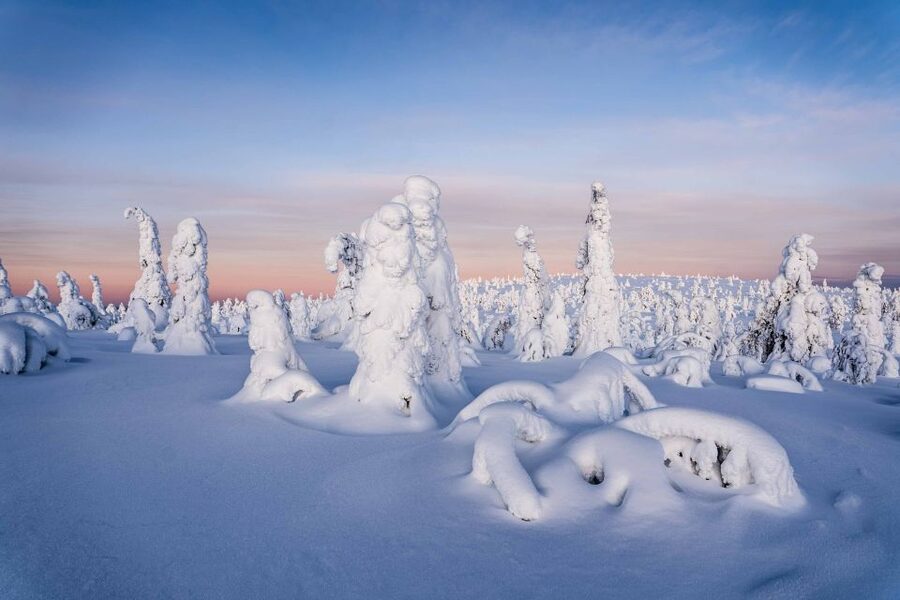 Rovaniemi: Riisitunturi National Park with Pro Photos & BBQ - Why Riisitunturi makes a strong winter day trip