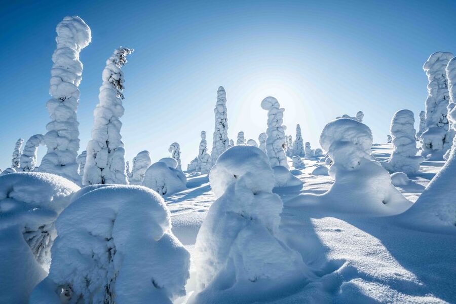 Rovaniemi: Riisitunturi National Park with Pro Photos & BBQ - A guide who also handles the camera