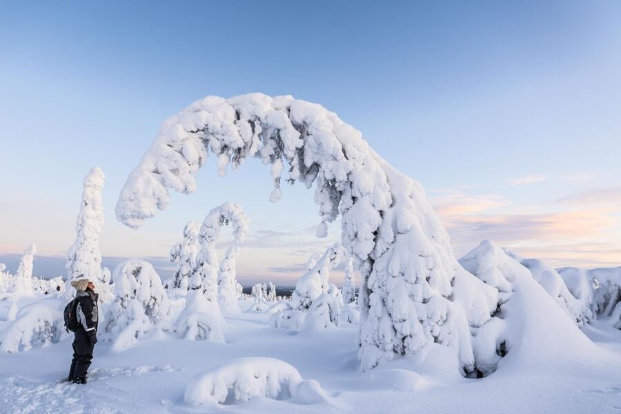 Rovaniemi: Riisitunturi National Park with Pro Photos & BBQ - Campfire food and a Finnish outdoor pause